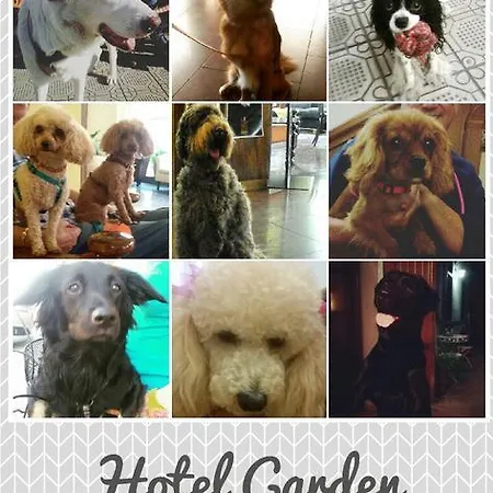 Garden 3* ヴィアレッジョ
