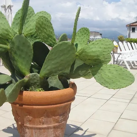Garden فياريجيو