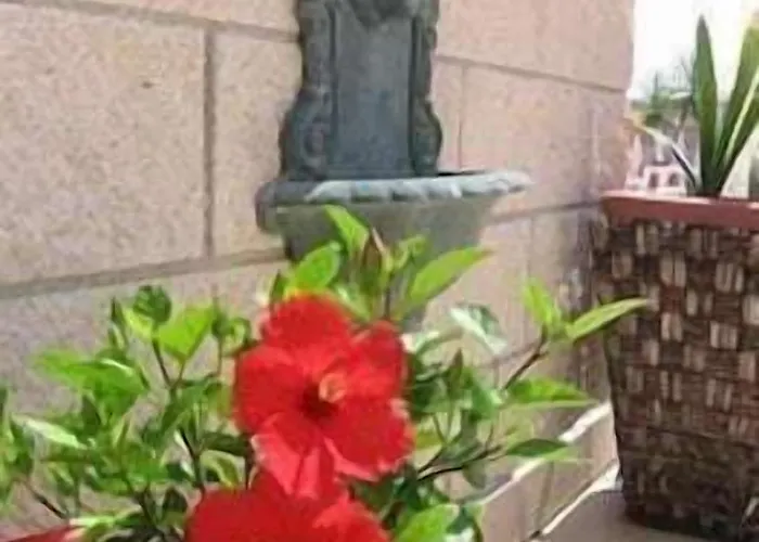 Garden Отель 3*