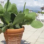 Garden Viareggio