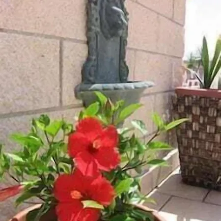 Garden מלון 3*
