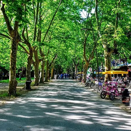 Garden Viareggio