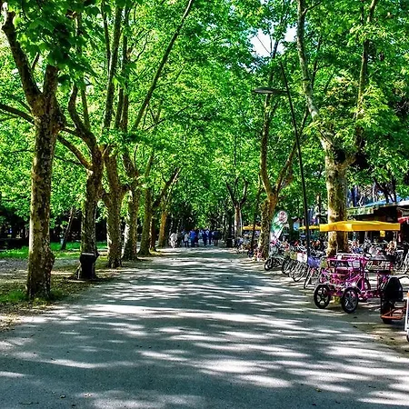 Garden Viareggio